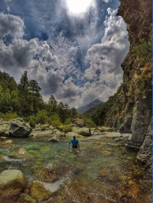 Reserva Nacional Los Bellotos Un Destino Magico A Solo Una Hora De Linares Linares En Linea