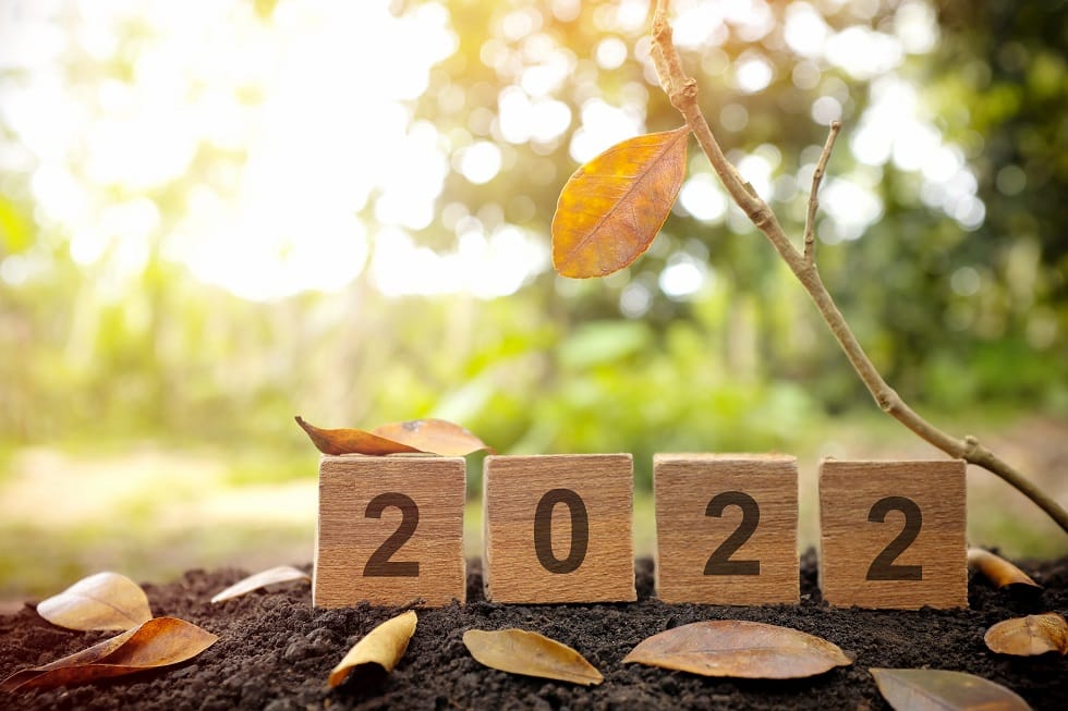 Fall 2022 Print Marketing Ideas Linemark