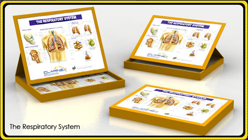 Pharmaceutical Products and Ideas from LinJen Promotions
