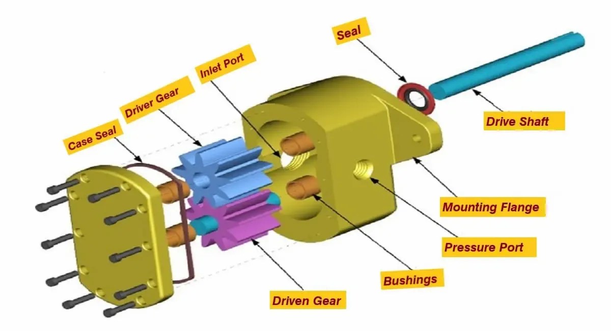 Top more than 61 gear pump sketch latest in.eteachers