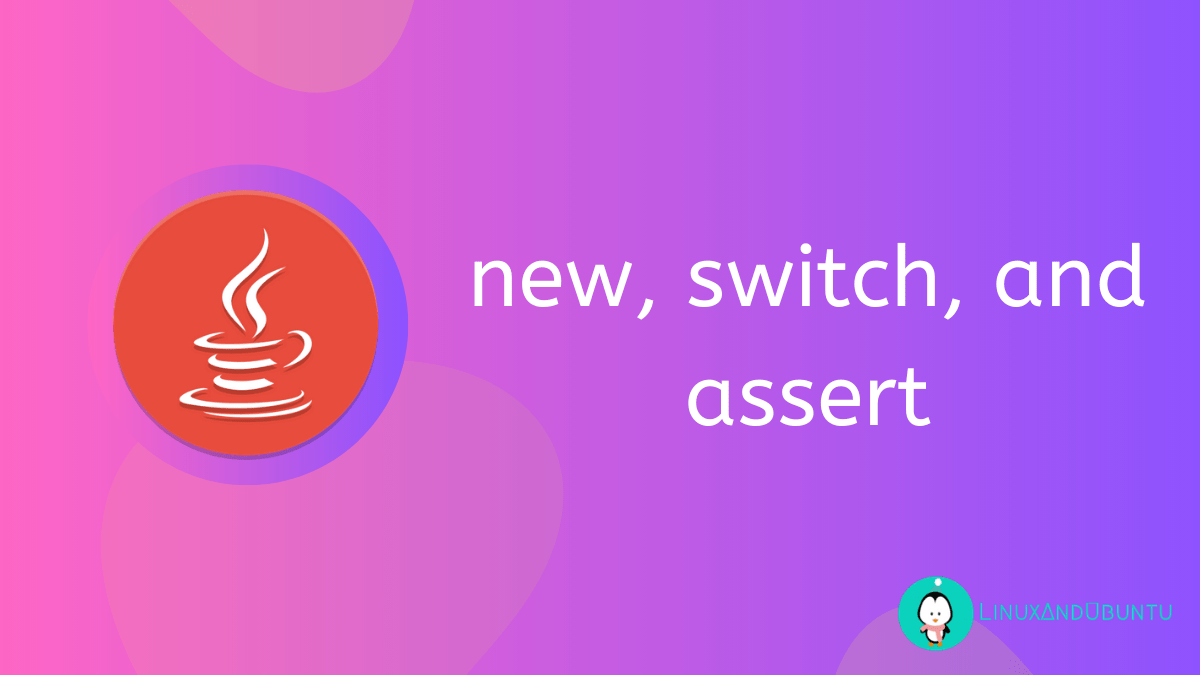 Java assert Keyword How to Use new and switch Keywords