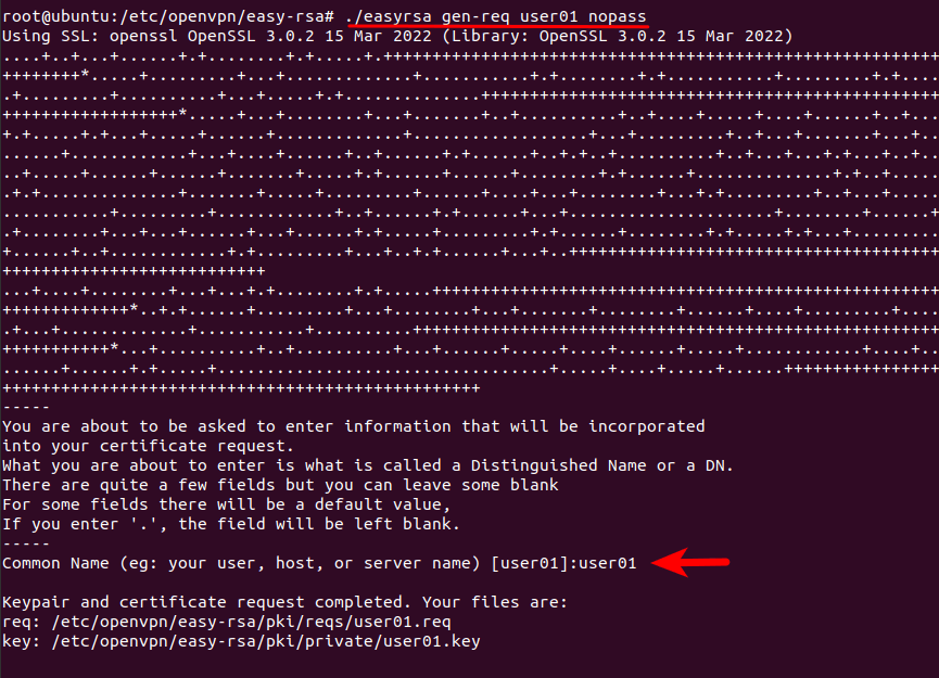 How to Set Up OpenVPN with Stunnel on Ubuntu 22.04/20.04 Server