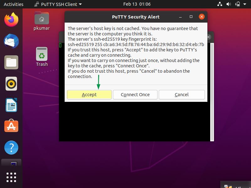 How to Install and Use Putty (SSH Client) on Linux desktop