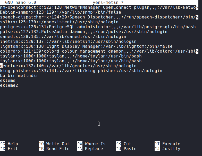 Metin Editörü Kullanımı Temel Linux Eğitimi Linux Dersleri