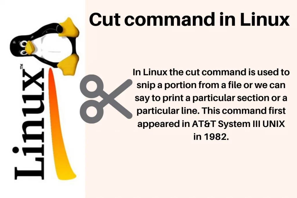 The cut Command in Linux A Complete Usage Guide LinuxForDevices