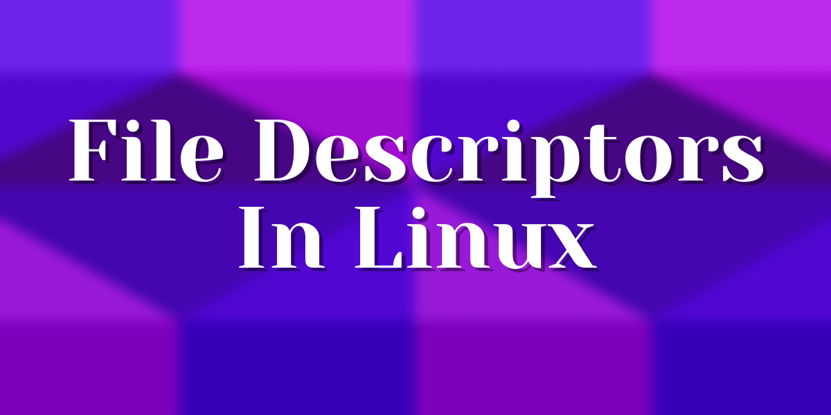 Understanding File Descriptors in Linux A Simplified Explanation LinuxForDevices