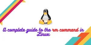 The complete guide to rm command on Linux - LinuxForDevices