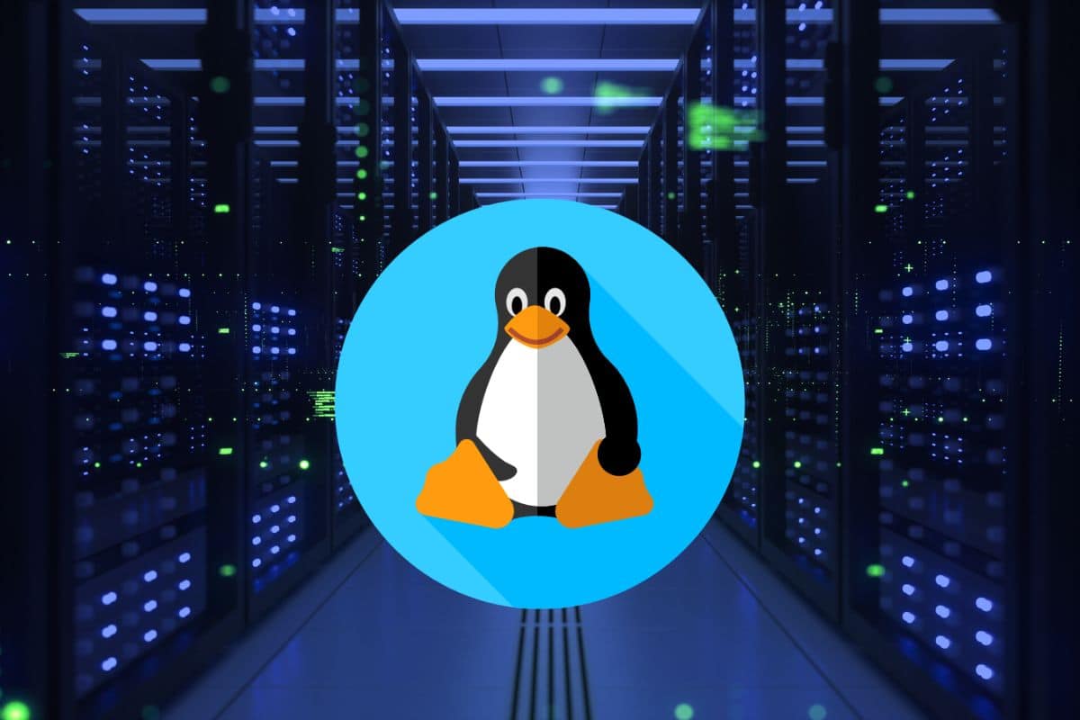 12 Best Linux Distro for Servers in 2023 LinuxHaxor