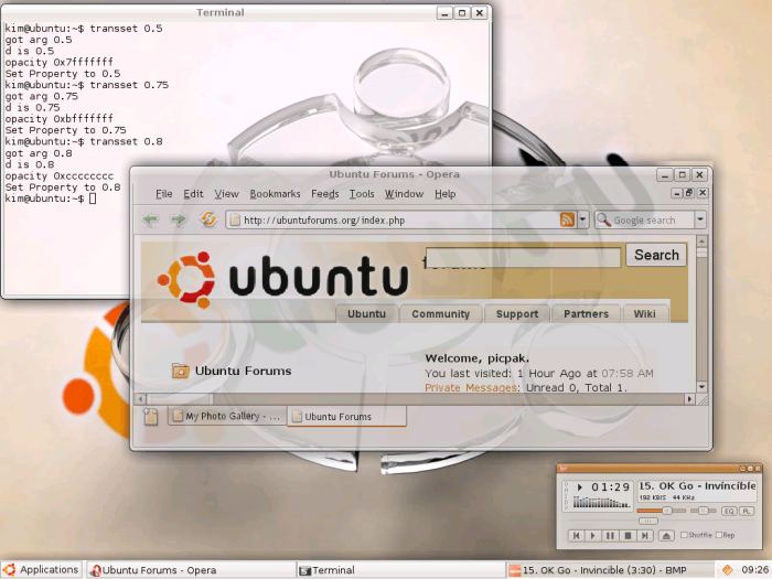 IceWM stacking window manager LinuxLinks