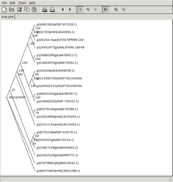 TreeView X phylogeny tree viewer LinuxLinks
