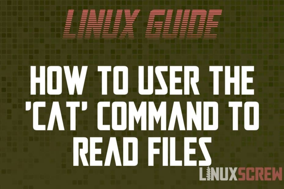 cat Command in Linux/Bash How to Use It, With Examples