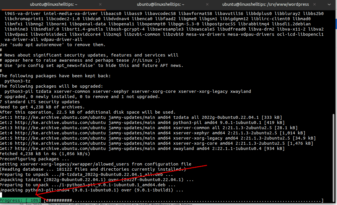 APT vs APTGET Commands What's the Difference?