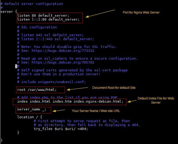 How to Install and Configure Nginx ‘ Server’ on Ubuntu 18.04 / Debian 9 LaptrinhX