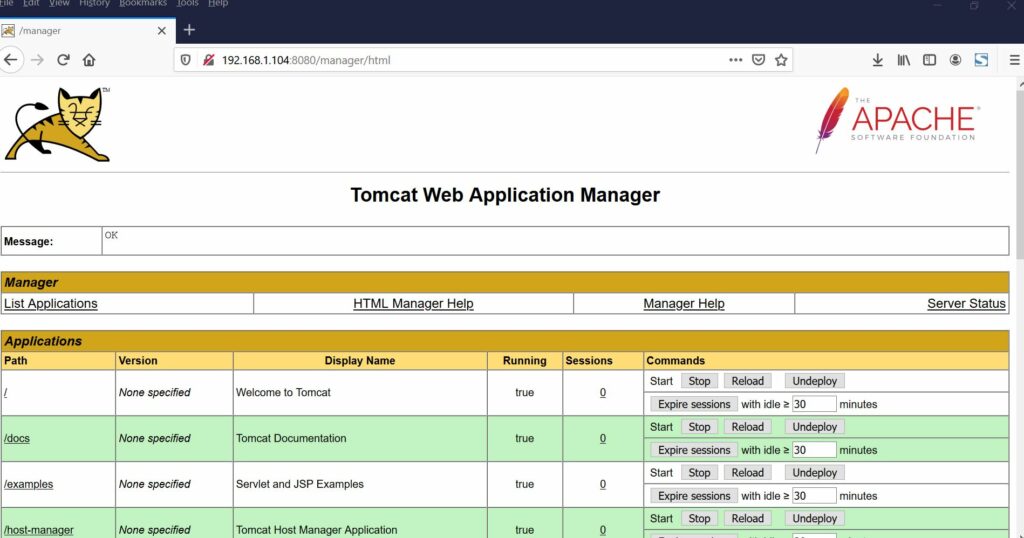 How to Install Apache Tomcat 10 on Debian 10 (Buster)