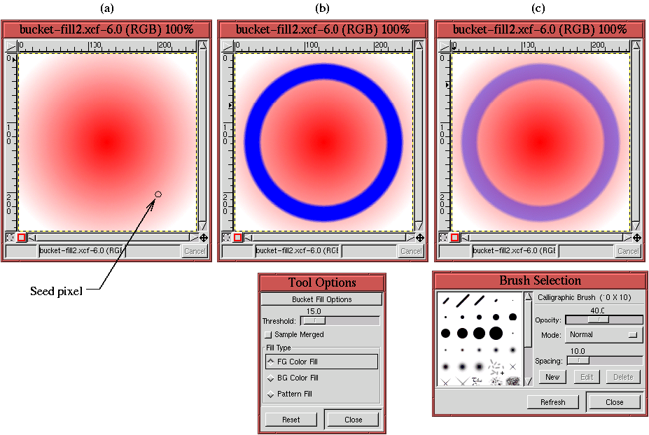Gimp Advanced Guide 8.1 The Bucket Fill Tool