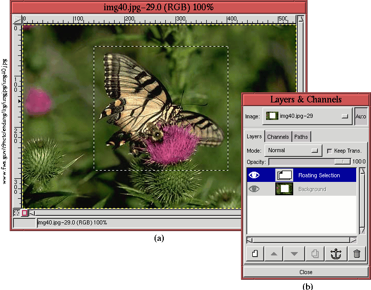 GIMP Advanced Guide 2.6.2.4 Layer Resizing