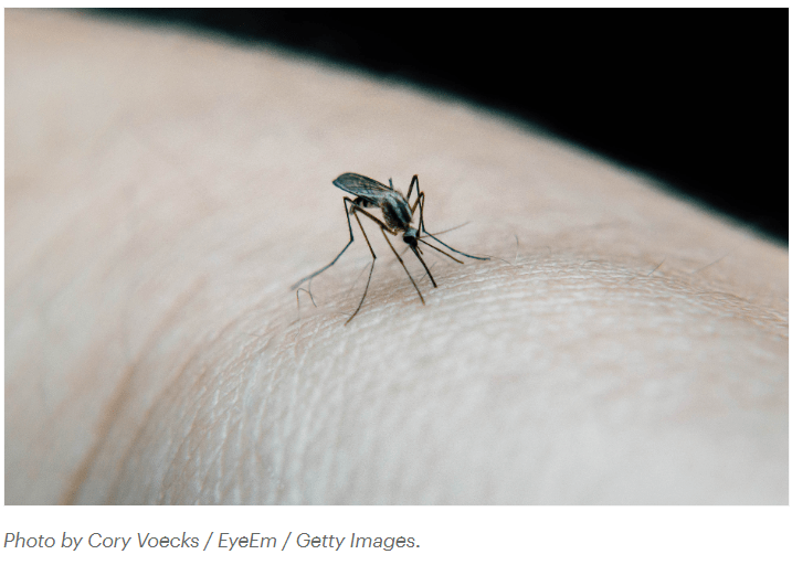Why Do Mosquitoes Bite Some People More Than Others? LT 3p