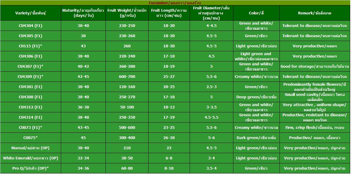 Cucumber LION SEEDS CO., LTD.