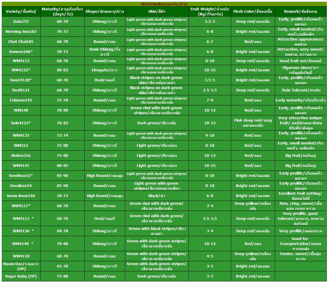 Watermelon Seeds LION SEEDS CO., LTD.