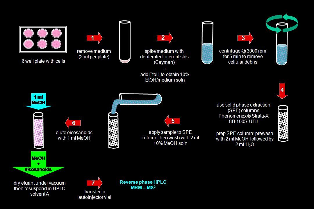 LIPID MAPS® Lipidomics Gateway