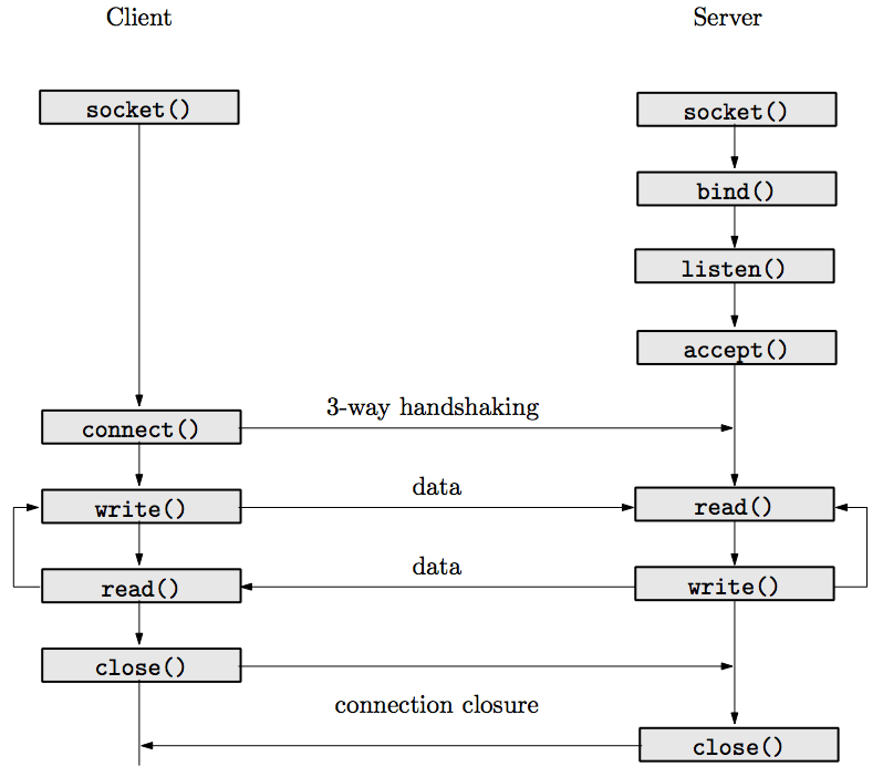 Unix System Programming