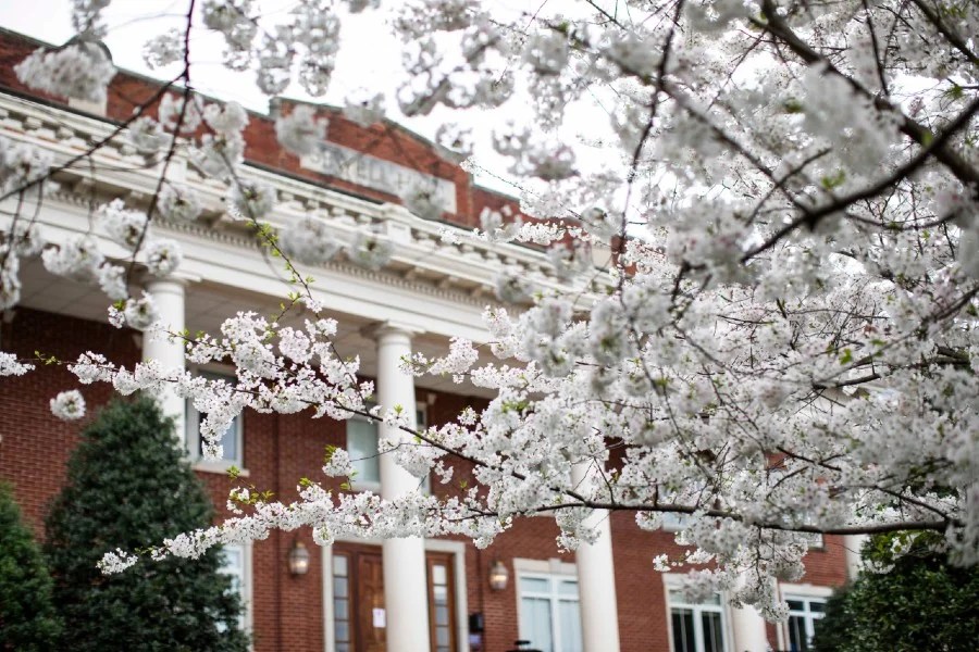 Lipscomb University Christmas Tree Lighting 2023 The campus is missing its students University