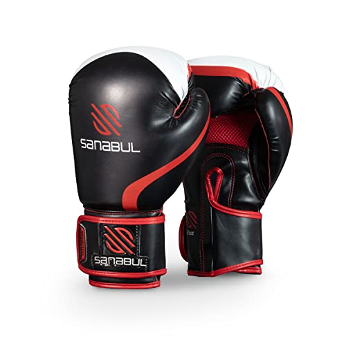 Best 12 Oz Boxing Gloves (2023 Update) Liquid Image