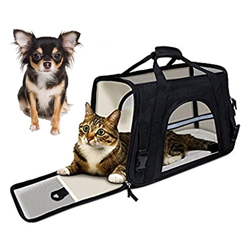 Best Airlines For Dogs In Cargo (2023 Update) Liquid Image