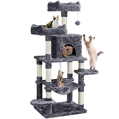 Best Affordable Cat Trees (2024 Update) Liquid Image