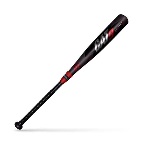 Best 10U Baseball Bat (2024 Update) Liquid Image