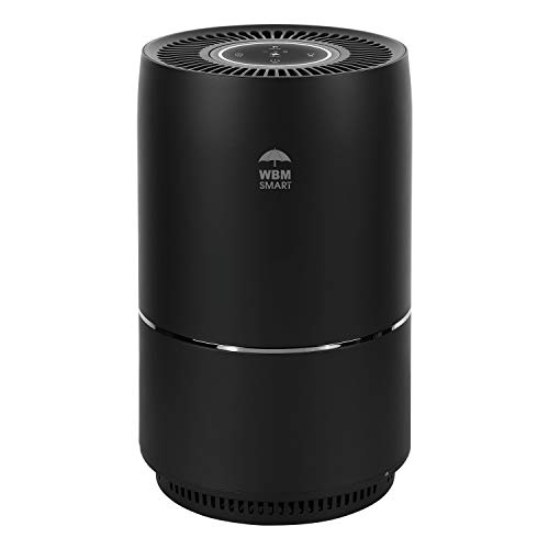 Best Air Cleaner For Allergies (2023 Update) Liquid Image