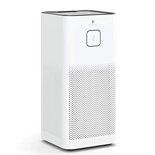 Best Air Purifier For Odors (2024 Update) Liquid Image
