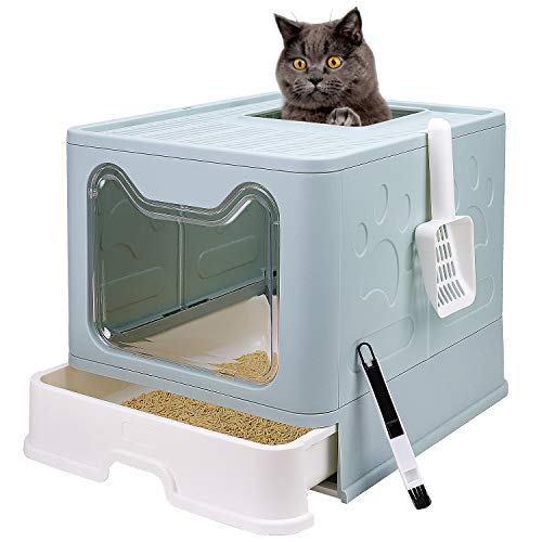 Best Affordable Cat Litter Box (2023 Update) Liquid Image