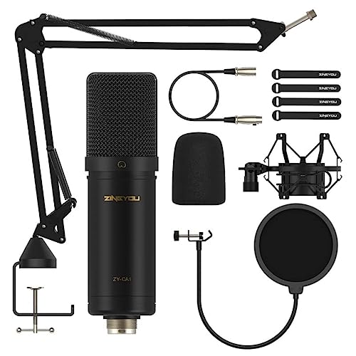 Best Affordable Condenser Mic (2023 Update) Liquid Image