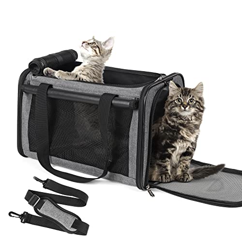 Best Airline Cat Carrier (2024 Update) Liquid Image