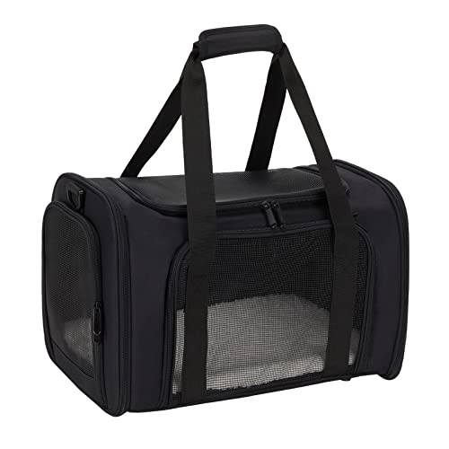 Best Airline Approved Cat Carrier (2024 Update) Liquid Image