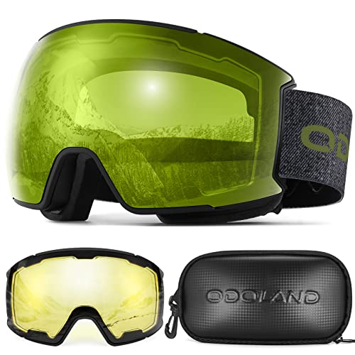 Best Affordable Ski Goggles (2023 Update) Liquid Image