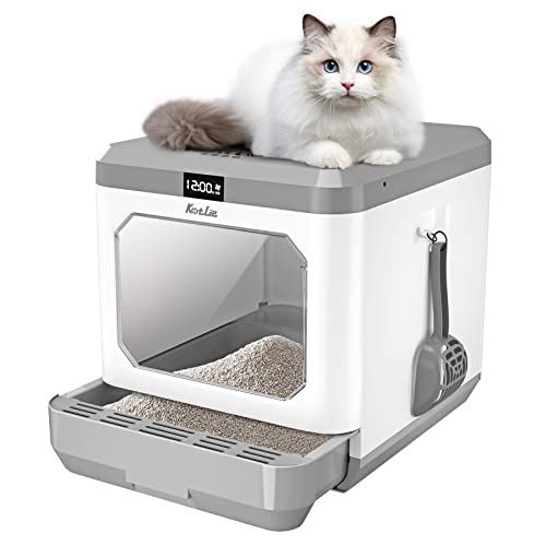Best Affordable Cat Litter Box (2023 Update) Liquid Image