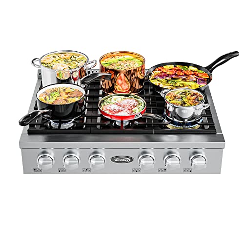 Best 6 Burner Gas Stove (2023 Update) Liquid Image