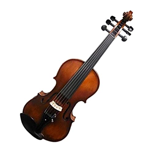 Best Acoustic Electric Violin (2024 Update) Liquid Image