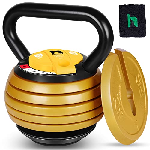 Best Adjustable Kettlebell (2023 Update) Liquid Image