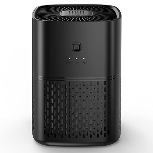 Best Affordable Air Purifier For Allergies (2024 Update) Liquid Image