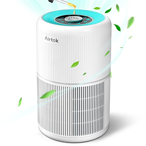 Best Air Purifier To Remove Odors (2023 Update) Liquid Image