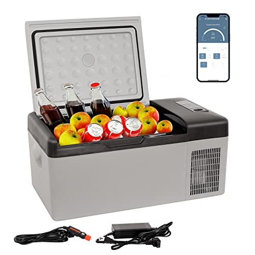 Best 12 Volt Cooler For Truckers (2024 Update) Liquid Image