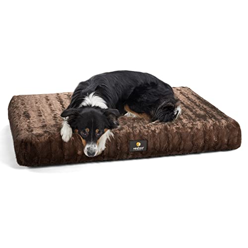 Best Air Mattress For Dogs (2023 Update) Liquid Image