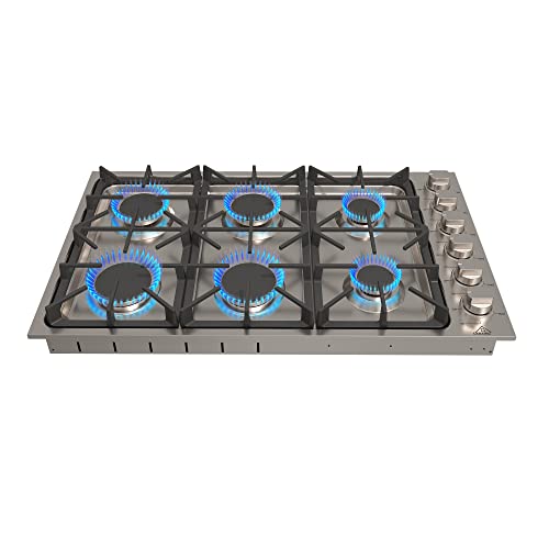 Best 6 Burner Gas Stove (2023 Update) Liquid Image
