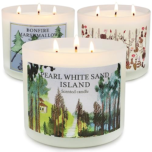 Best 3 Wick Scented Candles (2023 Update) Liquid Image