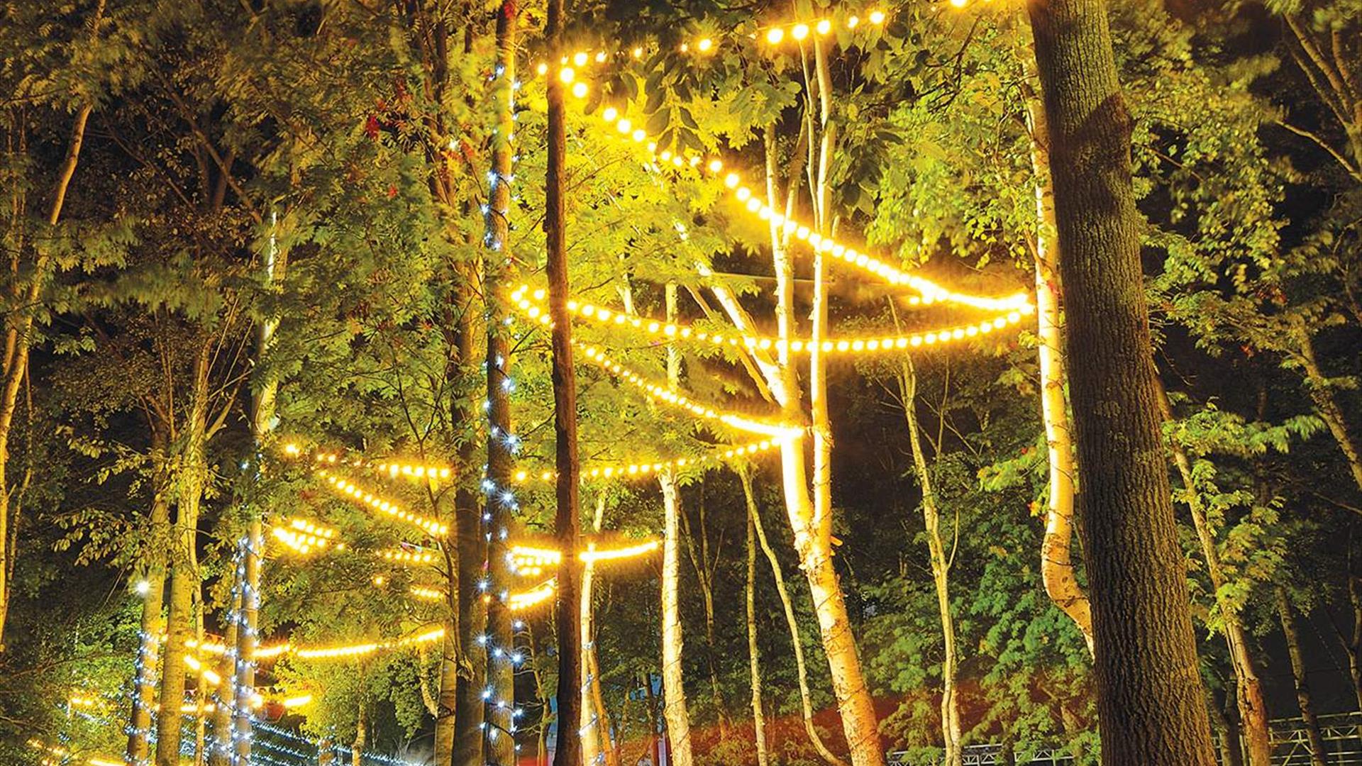 Christmas Garden Light Trail Lisburn Chamber of Commerce