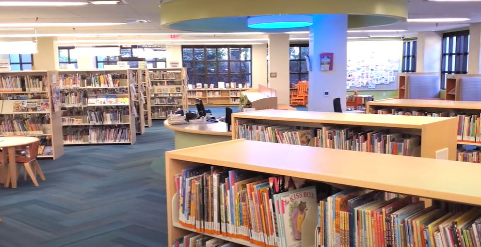 Difference Between Digital Library & Traditional Library Library