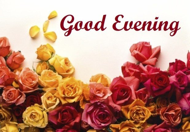 110 Good Evening SMS, Messages For Him/Her List Bark